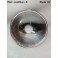Headlight reflector Equilux SEV MARCHAL 101520