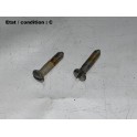 CIBIE 175 - Pair of nickel plated brass screws