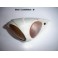 Left indicator sidelight HUSSEX 159