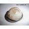 Cabochon plafonnier SCINTEX-SANOR 23C