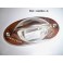 License plate light lens SCINTEX 8600