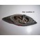 Platine clignotant et feu de position droit SCINTEX Jockey