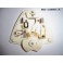 Platine plafonnier PK LMP 3238