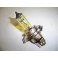 P43t - Lampe H4 24V 75/70W Gold