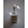 Bulb 6V 30/30W BA21d