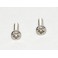 Pair of inox screws SCINTEX STL or SEIMA 02070