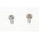 Pair of inox screws 16mm