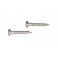 Pair of special screws for front light