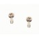 Pair of nickel plated brass screws