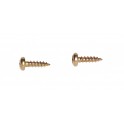 Pair of galvanized steel-bichromate screws 15mm