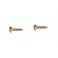 Pair of inox screws 12mm