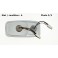 Platine feu clignotant veilleuse droit FRANKANI 445