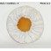 Foglight or spotlight cover SEV MARCHAL 900/902/909