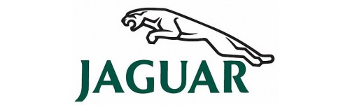 Jaguar (CG)